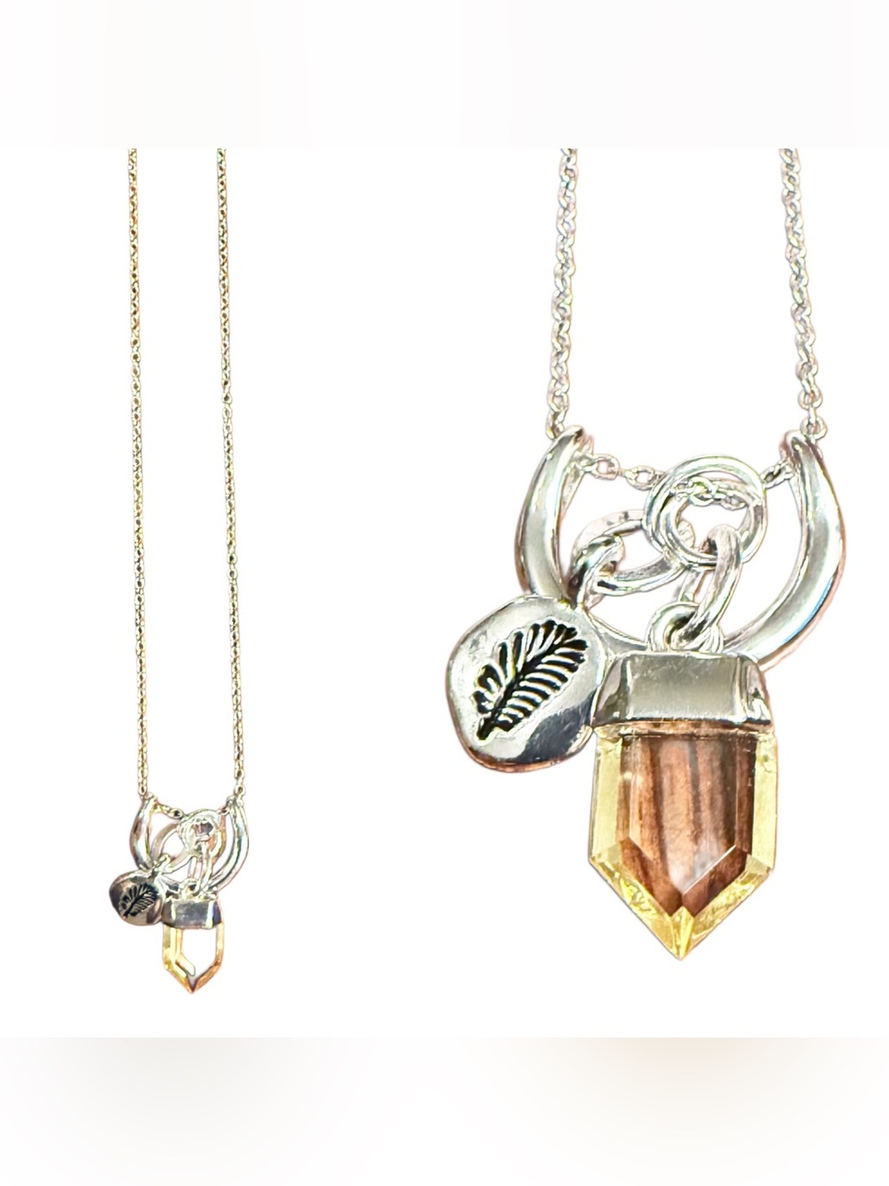 Premier Jewelry Charm Necklace